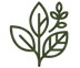 Natural Ingredient Blend